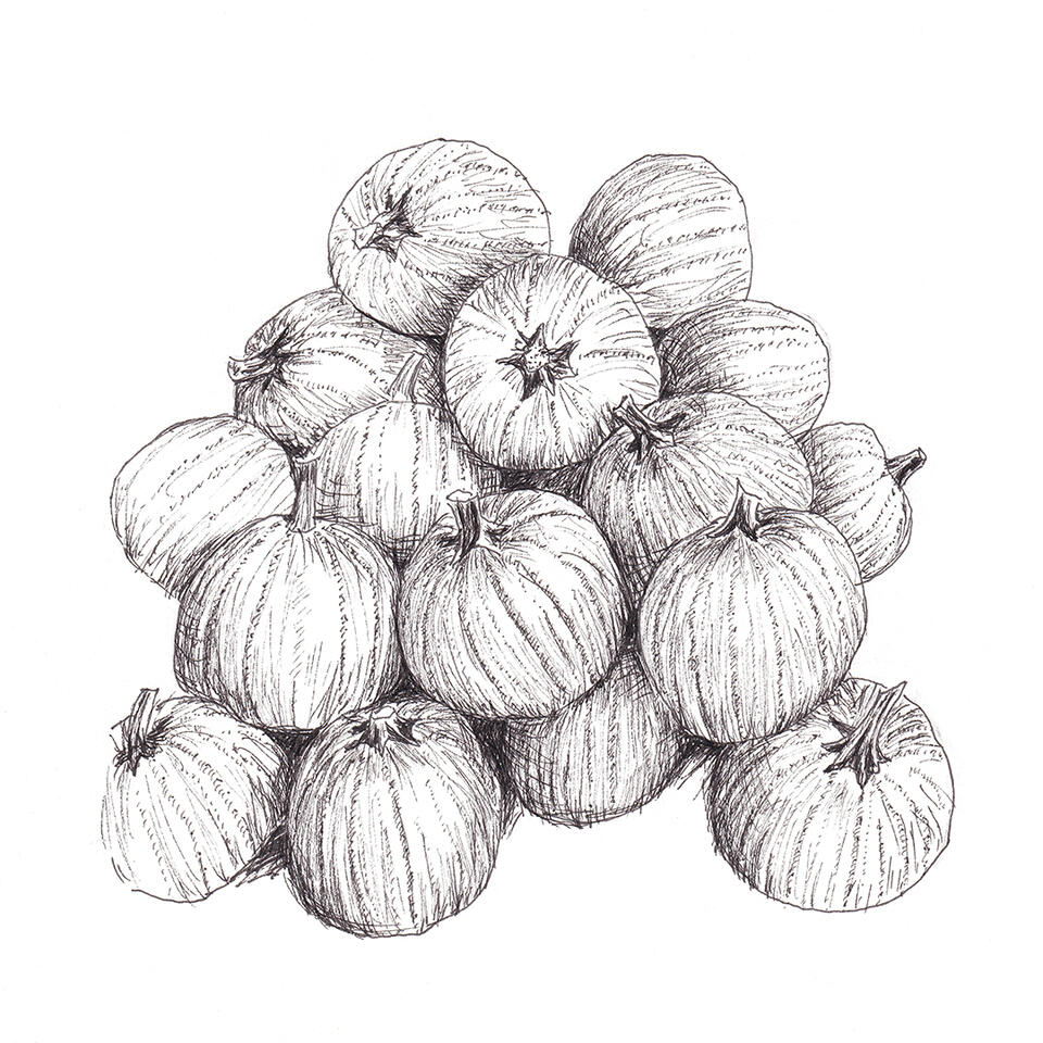 Pile of pumpkins