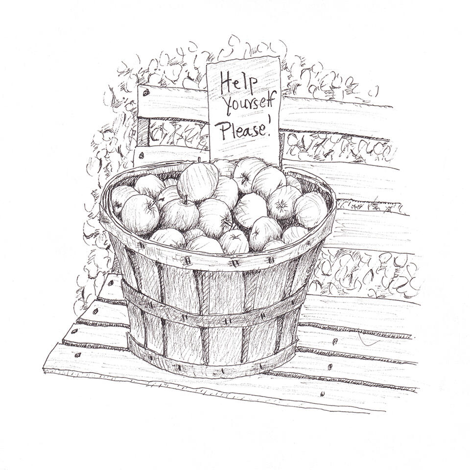 Bushel of apples