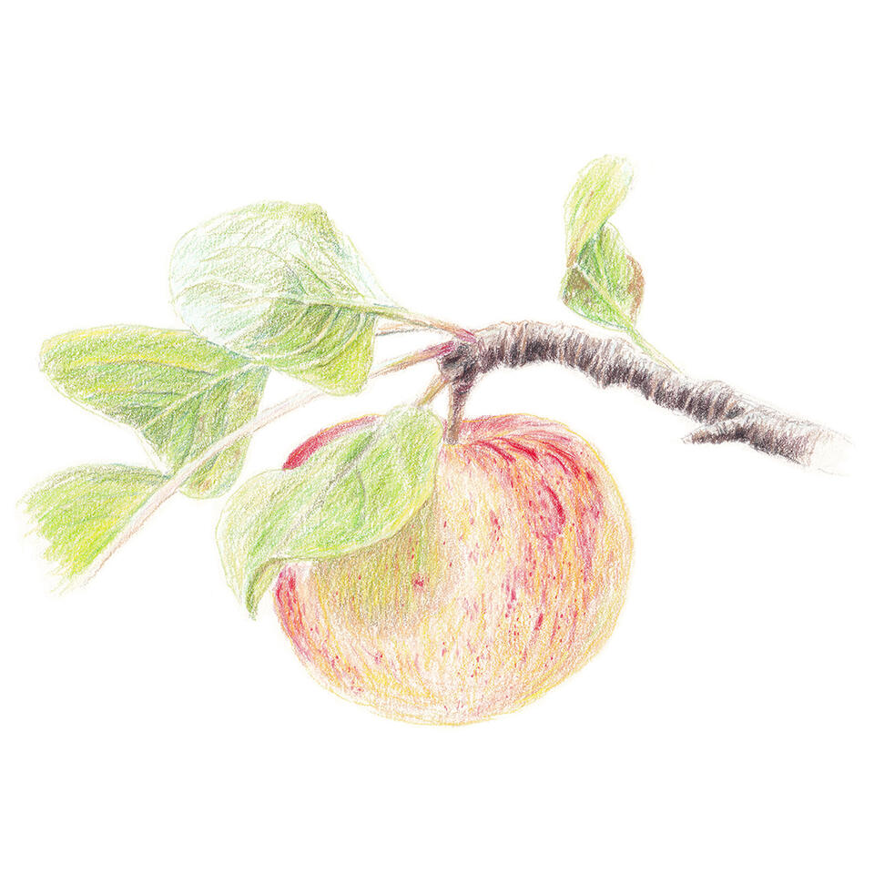 Red speckled apple